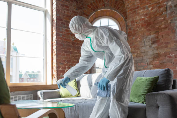 Best Industrial Mold Remediation  in Helena Valley West Central, MT